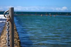 开云体育官方网站-当非洲雄鹰遇上药厂铁壁，苏亚雷斯在进攻端的无解方程式